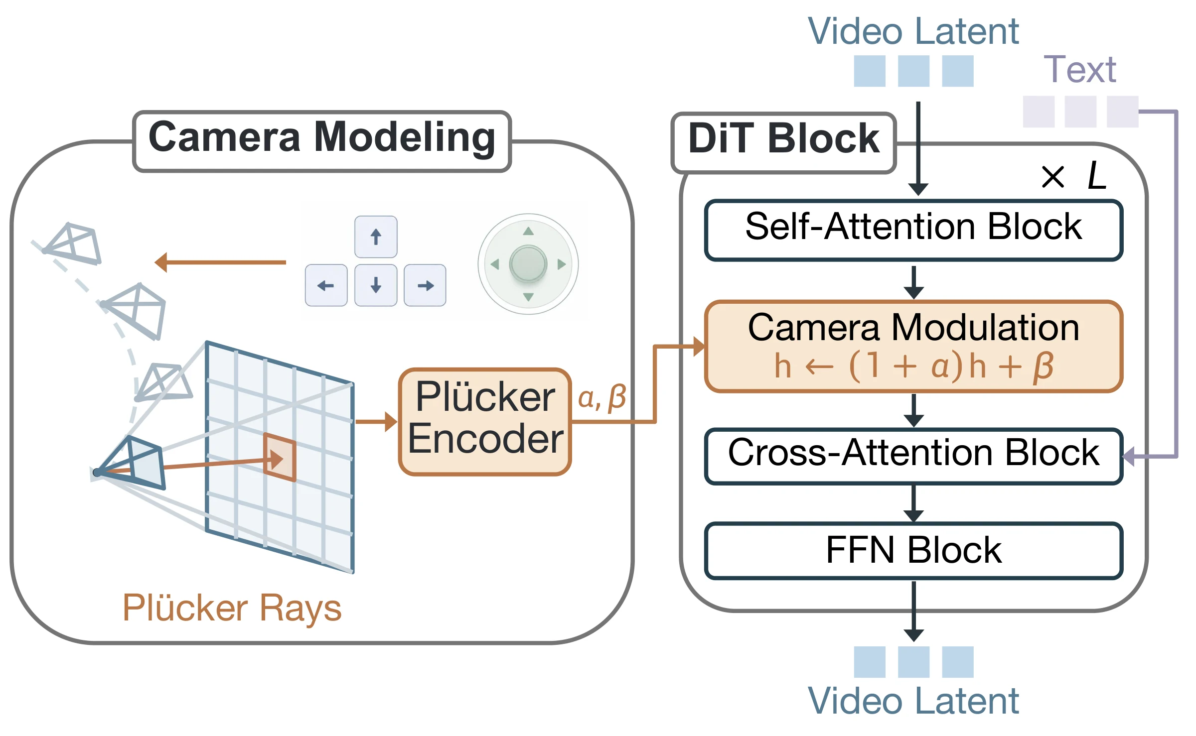 Stage 1: Plücker raymaps are encoded and injected into each DiT block via camera-dependent scale and shift.